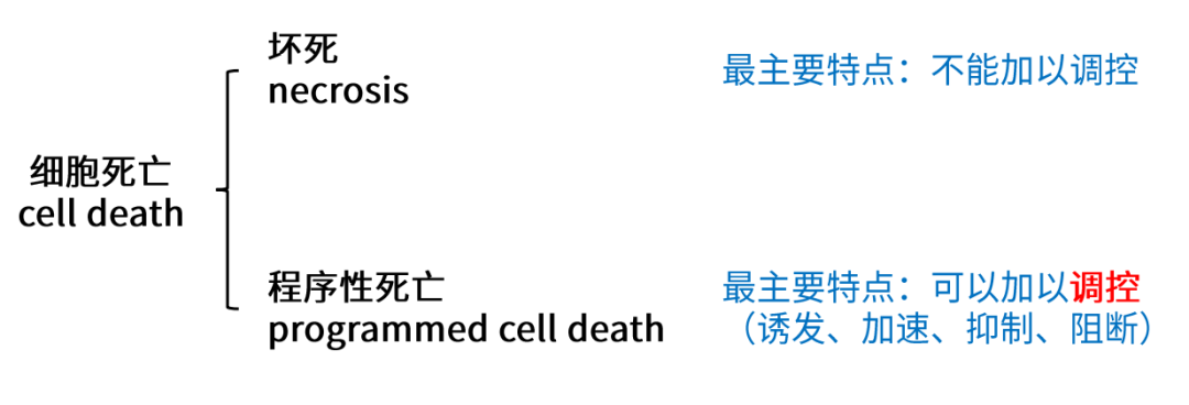 23.png
