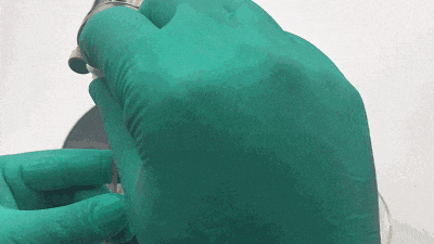 8.gif