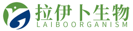 1724639740518892.png