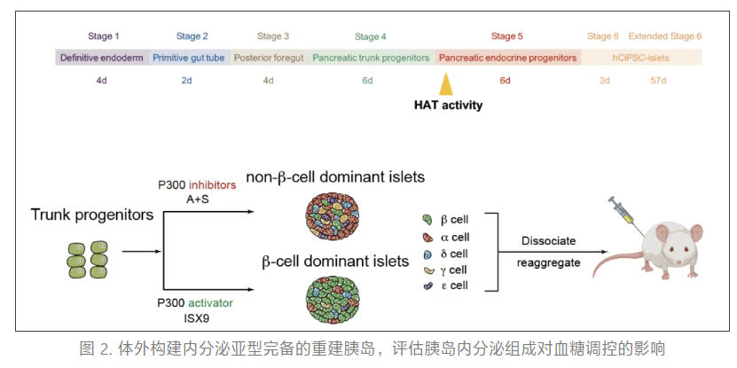 1758167002277411.png image.png