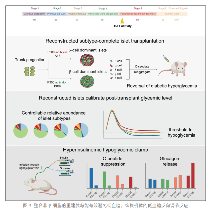 1758167047111214.png image.png