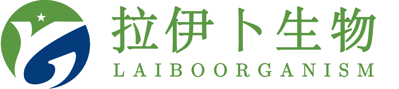 1758590825774435.png 拉伊卜logo.png
