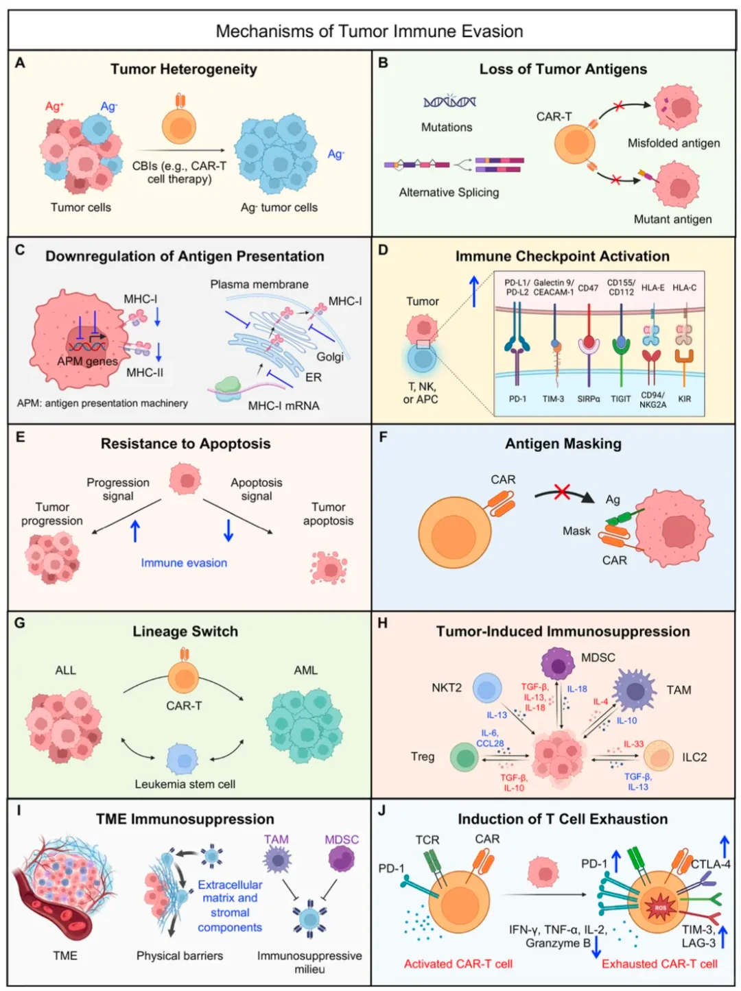 1760320962720704.png 458bb20338e7351216e676917b219012.png