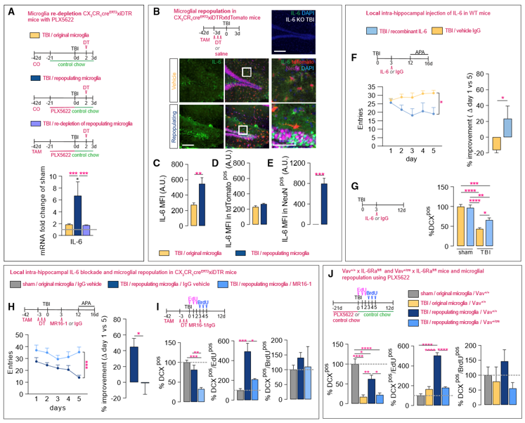 1765160529156072.png 1616bbe0e60d0230d1f8a0d7f9ff3d8c.png